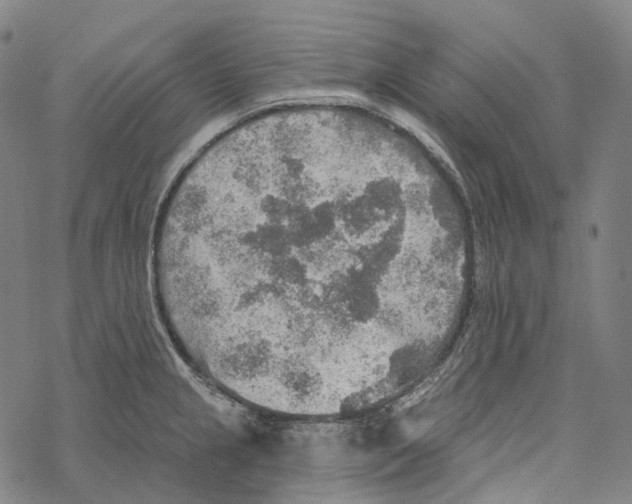 X0000067471237200605051639