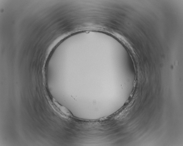 X0000067471238200605051639