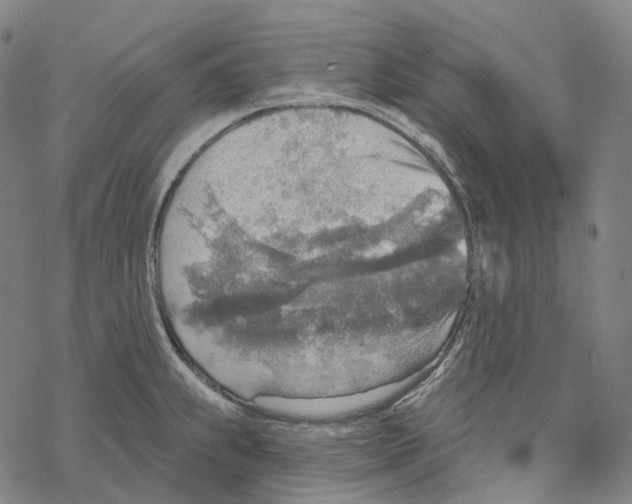 X0000067471239200605051639