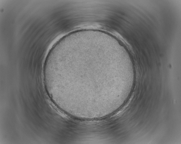 X0000067471240200605051639