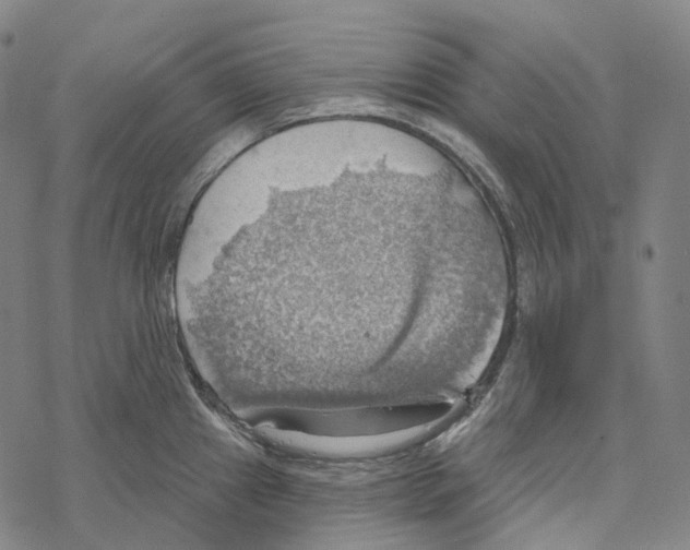 X0000067471241200605051639