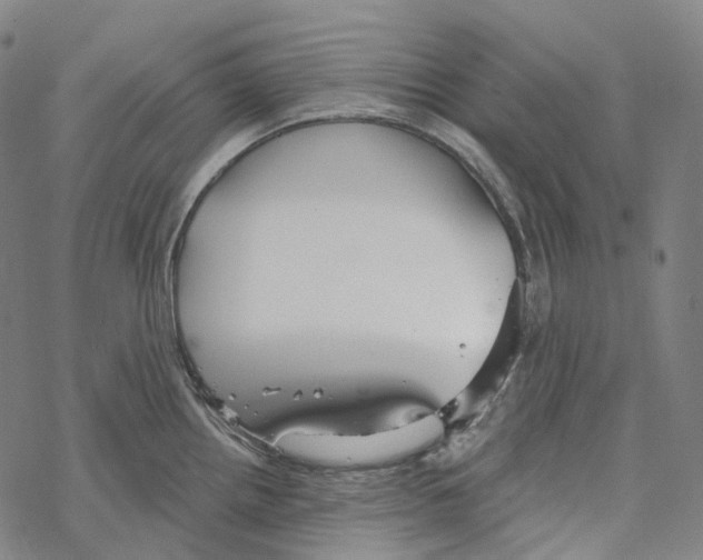 X0000067471242200605051639