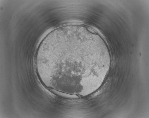 X0000067471243200605051639