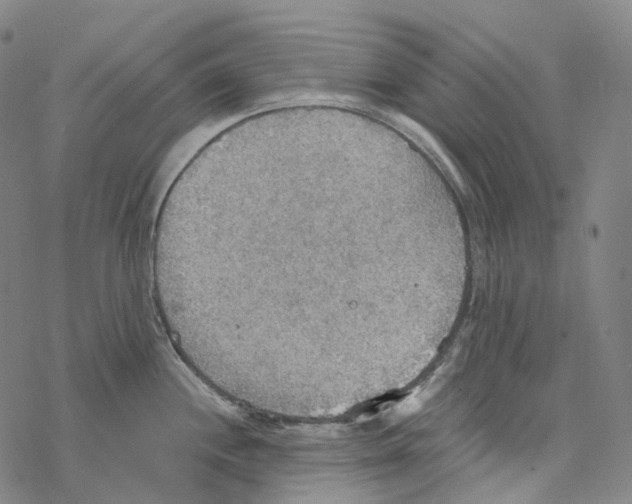 X0000067471244200605051639