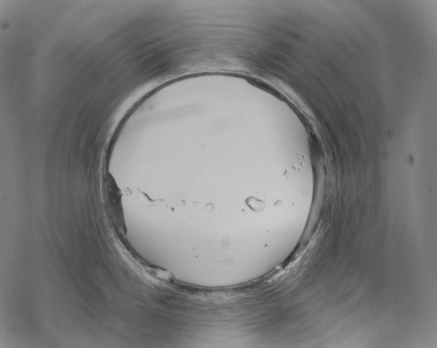 X0000067471246200605051639