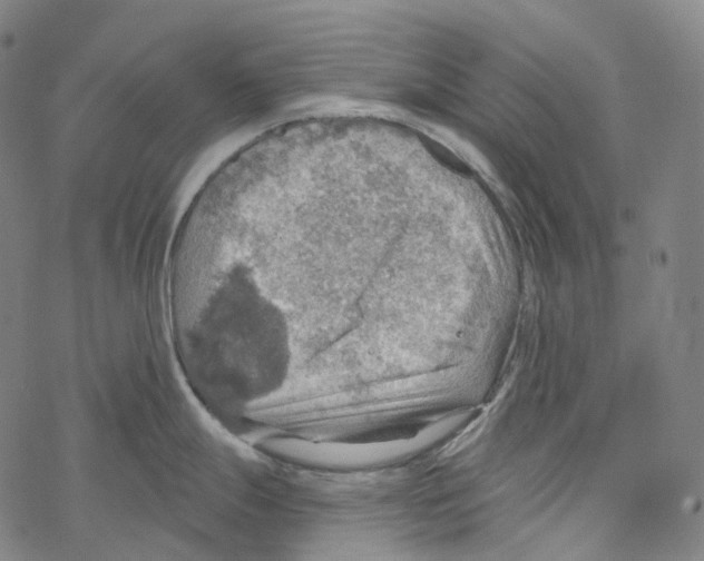 X0000067471247200605051639