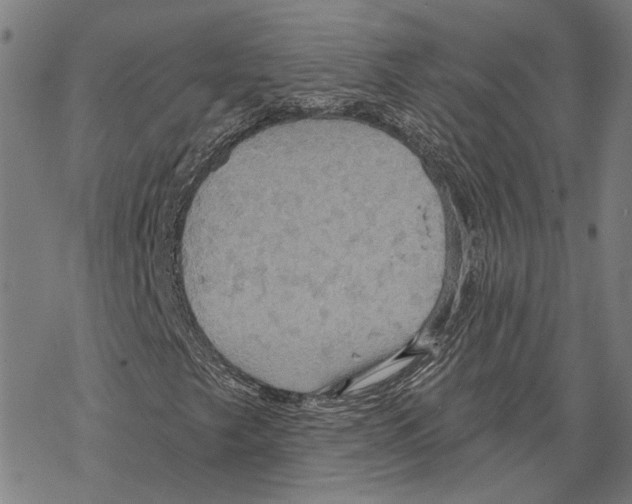 X0000067471249200605051638