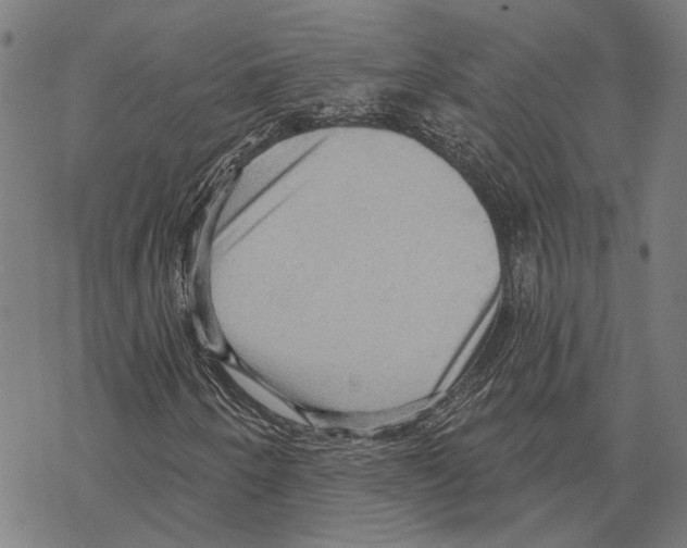 X0000067471250200605051638