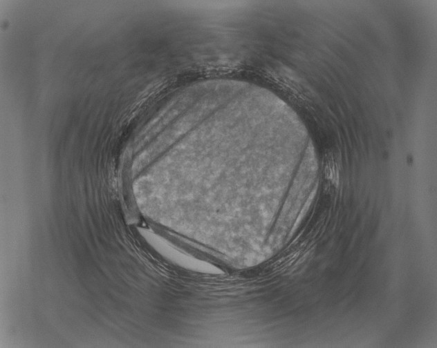 X0000067471252200605051638