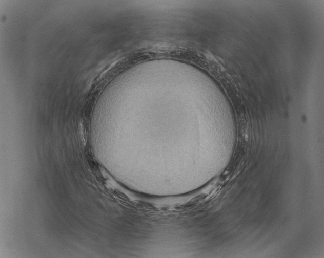 X0000067471253200605051638