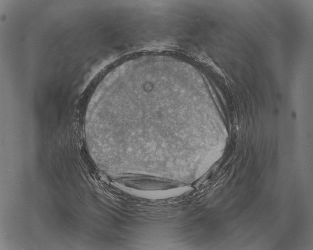 X0000067471256200605051638