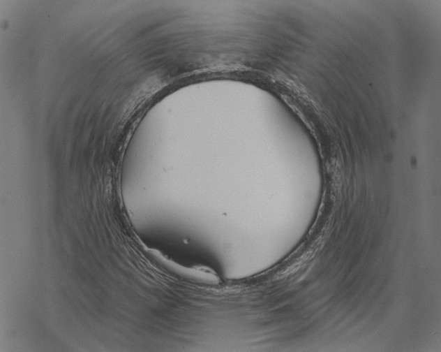 X0000067471257200605051638