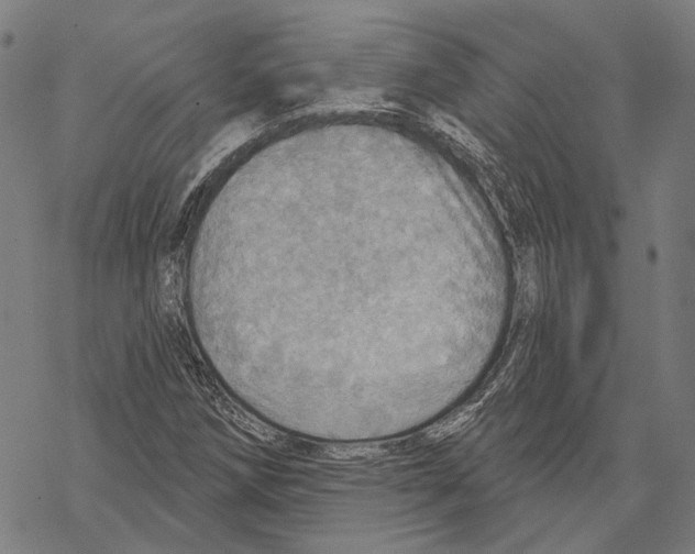 X0000067471258200605051638