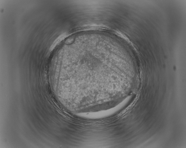 X0000067471259200605051638