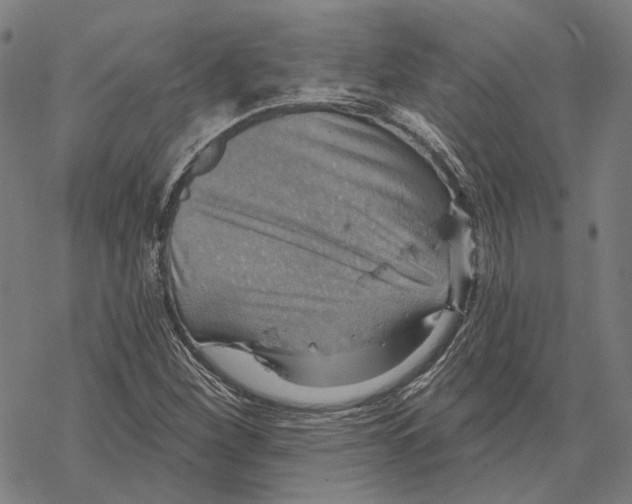 X0000067471260200605051638