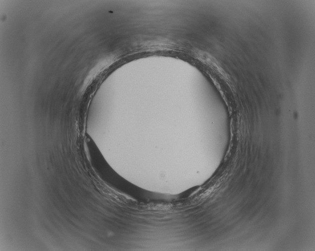 X0000067471261200605051638