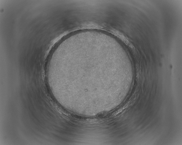 X0000067471264200605051638