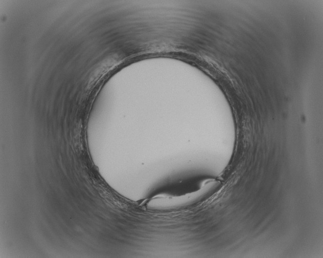 X0000067471265200605051638