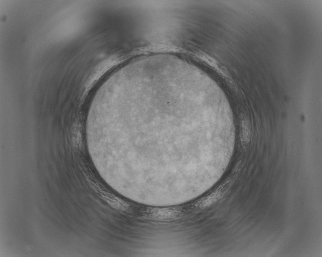 X0000067471266200605051638