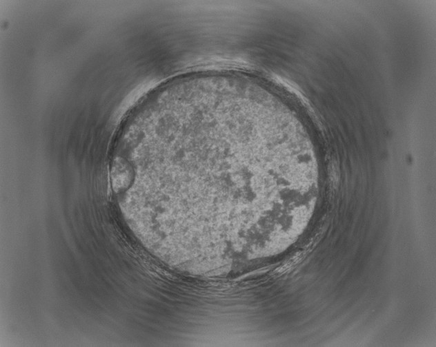 X0000067471267200605051638