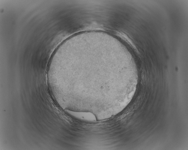 X0000067471268200605051638