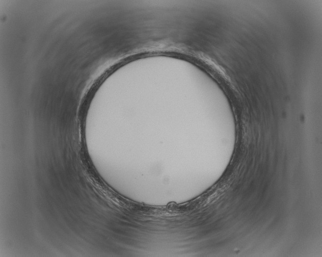 X0000067471270200605051638