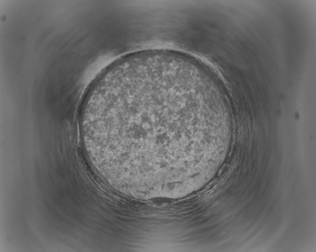 X0000067471271200605051638