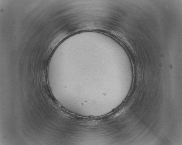 X0000067471273200605051638