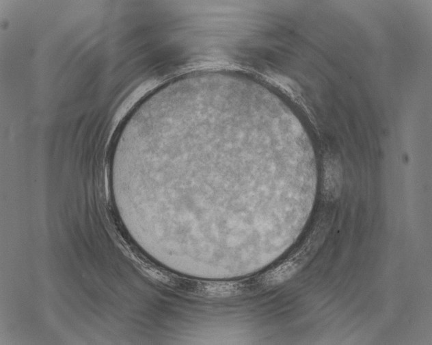 X0000067471274200605051638