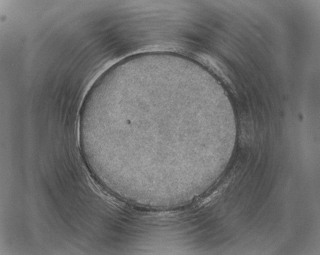 X0000067471276200605051638