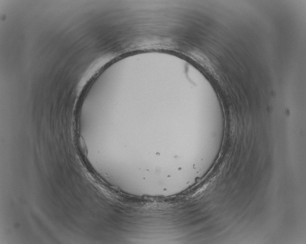 X0000067471277200605051638