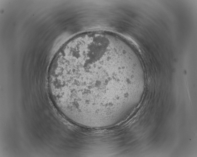 X0000067471279200605051638