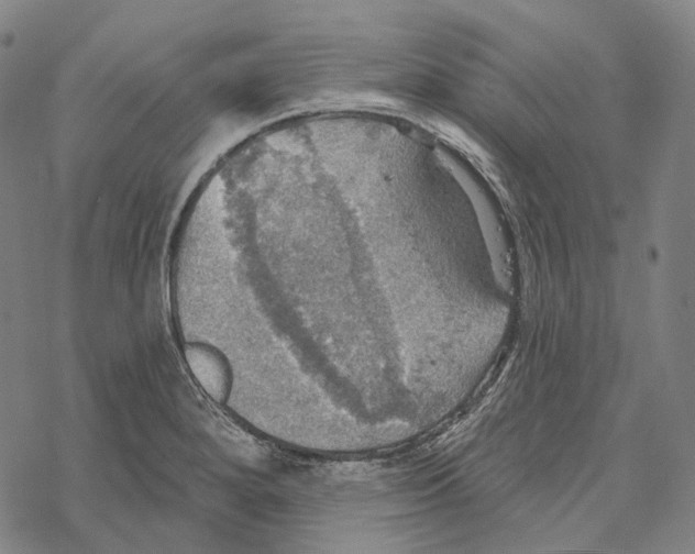 X0000067471280200605051638