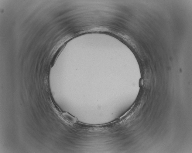 X0000067471281200605051638