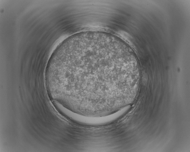 X0000067471283200605051638