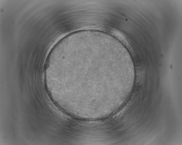 X0000067471284200605051638