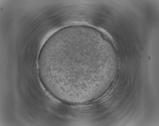 X0000067471287200605051638