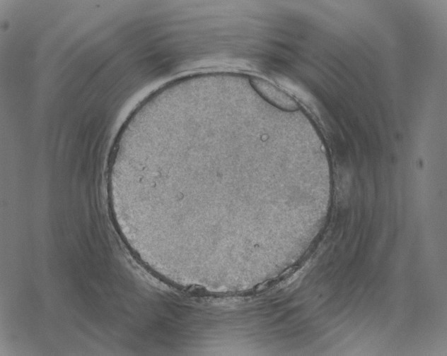 X0000067471288200605051638