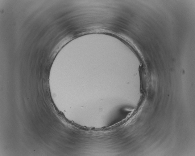 X0000067471289200605051638