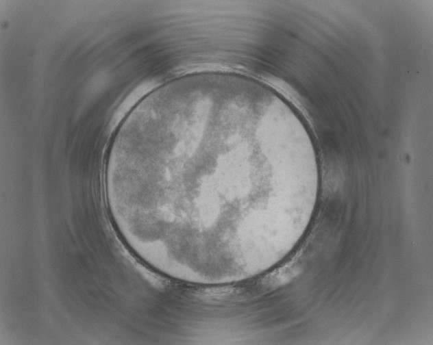 X0000067471290200605051638