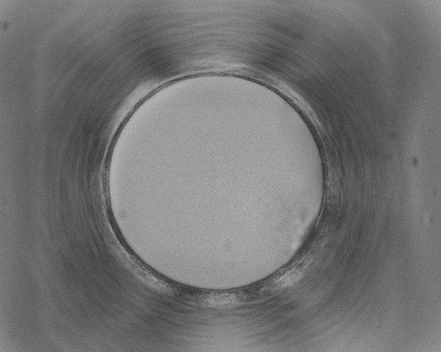 X0000067471291200605051637