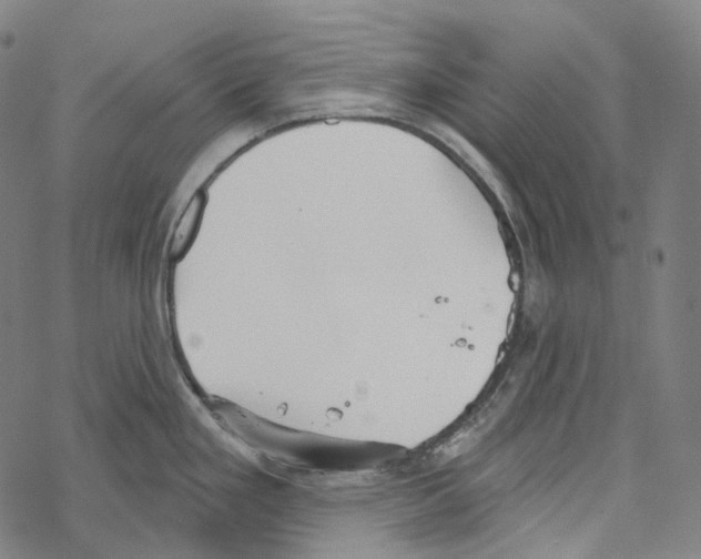 X0000067471293200605051637