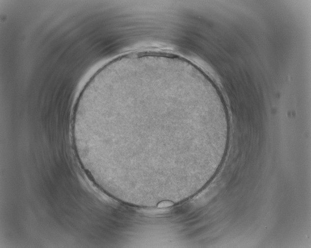 X0000067471296200605051637