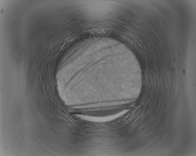 X0000067471297200605051637