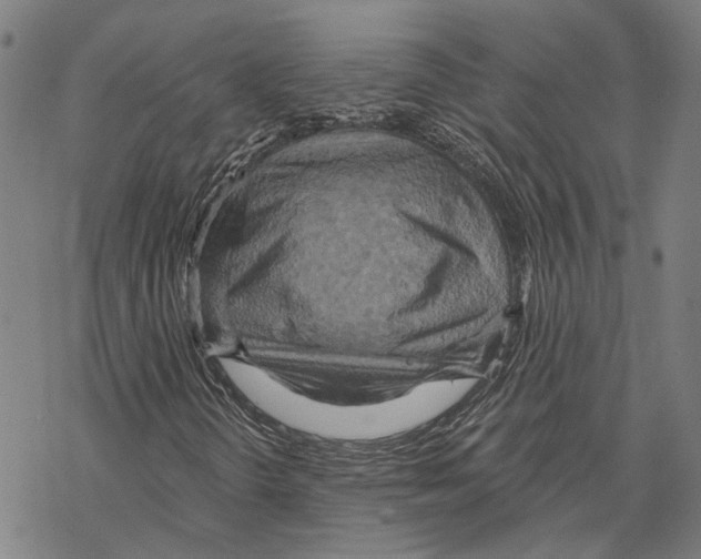 X0000067471298200605051637