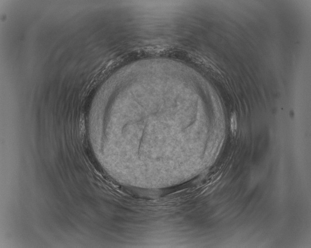 X0000067471299200605051637