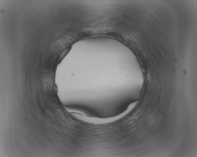 X0000067471300200605051637