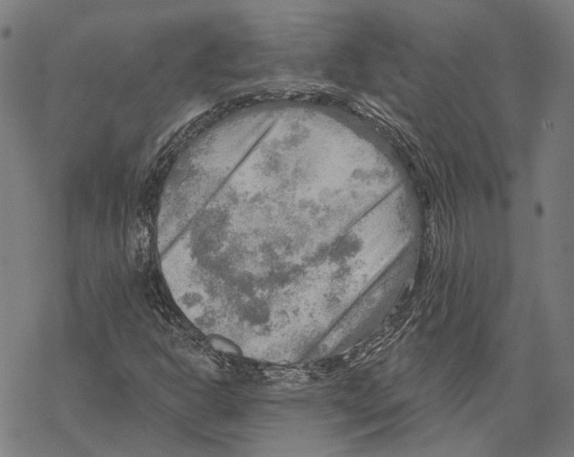 X0000067471302200605051637