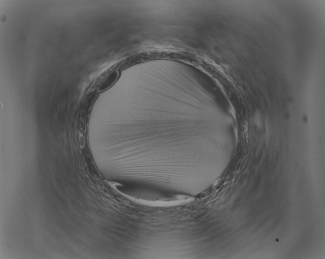 X0000067471303200605051637