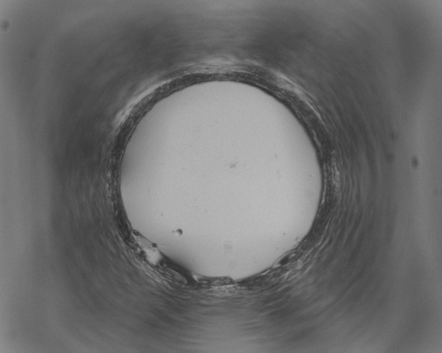 X0000067471304200605051637